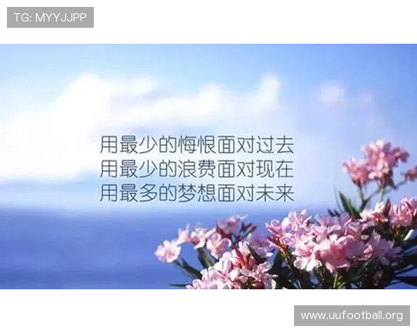 参加体育活动后的深刻感悟与个人成长的全面总结